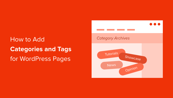 如何为 WordPress 页面添加类别和标签