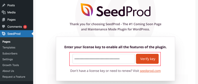 输入您的 SeedProd 许可证密钥