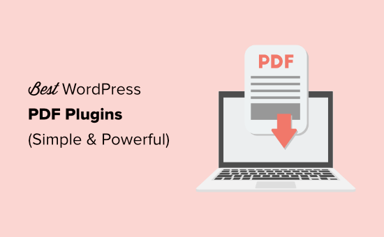 最好的 WordPress PDF 插件
