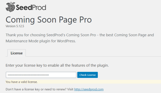 在 SeedProd Coming Soon Pro 设置页面上输入您的许可证密钥