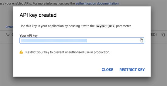 复制浏览器 api 密钥