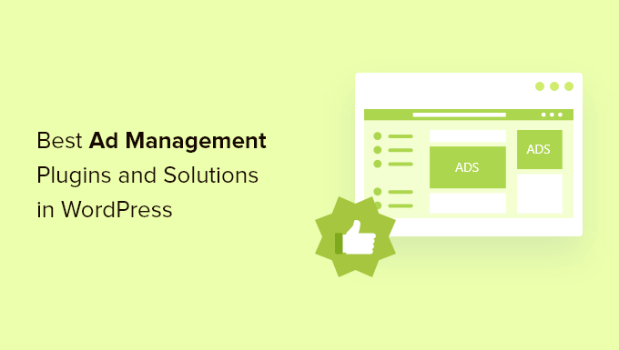 6 个最佳 WordPress 广告管理插件和解决方案
