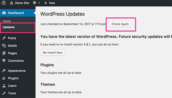 检查 WordPress 更新