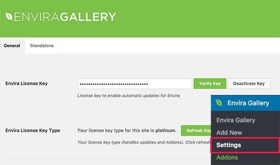 输入您的 Envira Gallery 许可证密钥