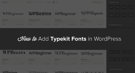 WordPress 中的 Typekit 字体