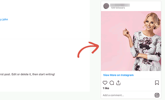 Instagram 照片嵌入 WordPress 侧边栏中