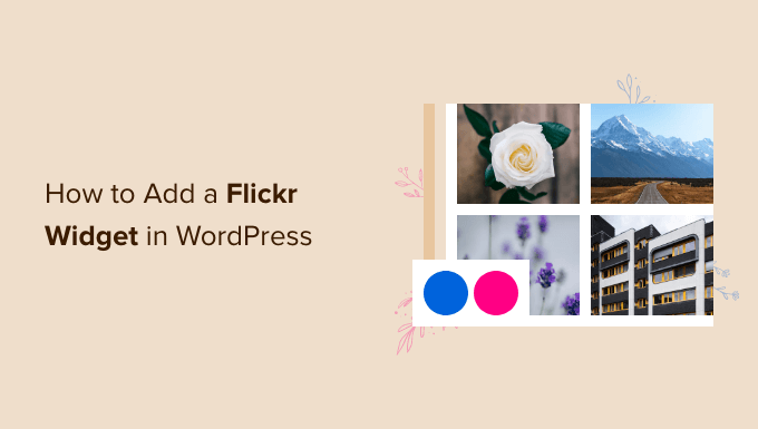 如何在 WordPress 中添加 Flickr 小部件