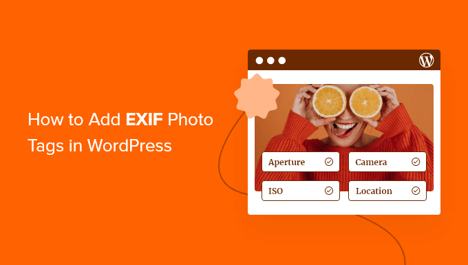 如何在 WordPress 中添加 EXIF 照片标签