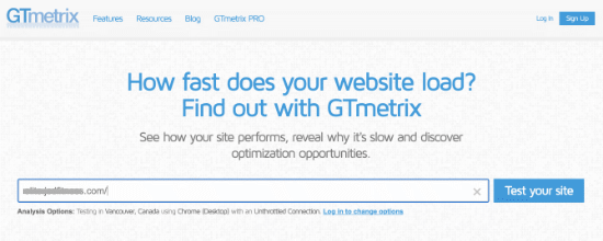 GTmetrix 测试无插件