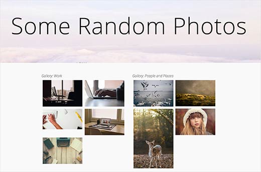 一个带有两个图片库的 WordPress 页面